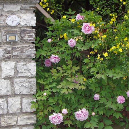 B&B Il Glicine Bedizzole Exterior photo