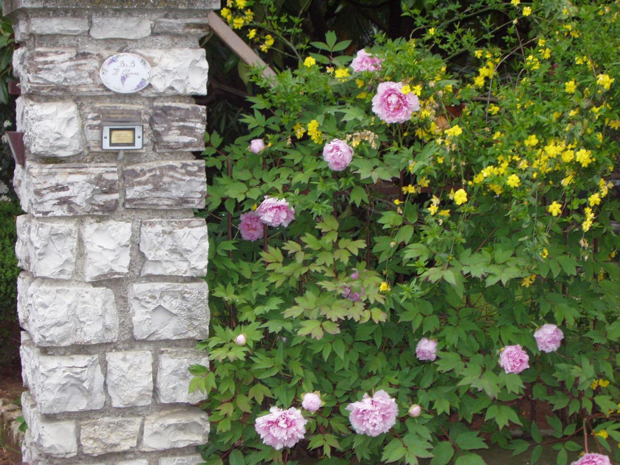 B&B Il Glicine Bedizzole Exterior photo