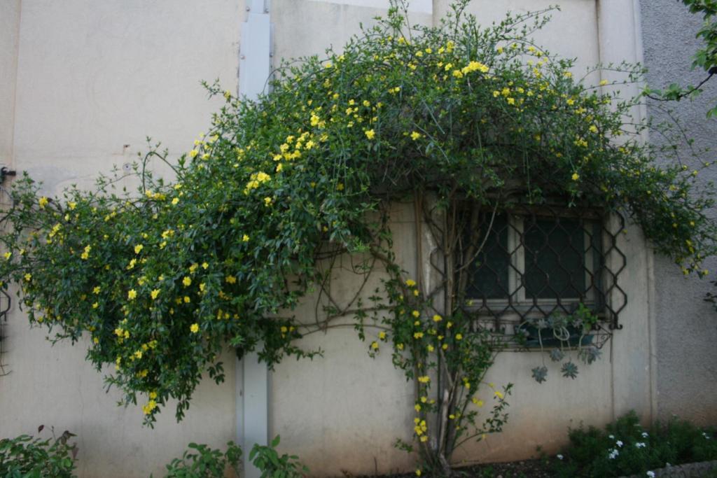 B&B Il Glicine Bedizzole Exterior photo